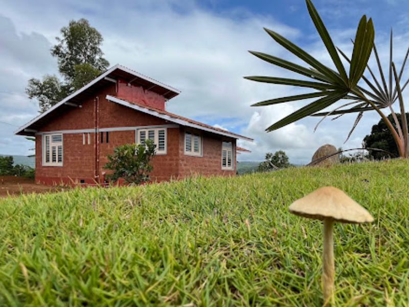 The Jackfruit Farmstay