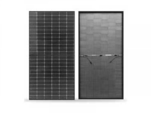 Bifacial Transparent Back Sheet Module