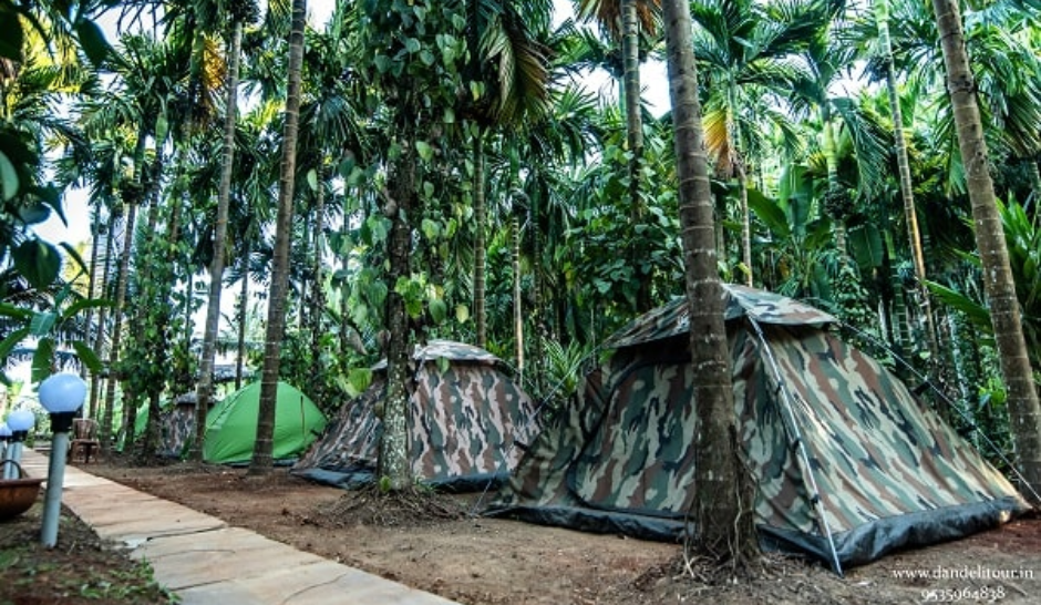 Lemon-tree-dandeli